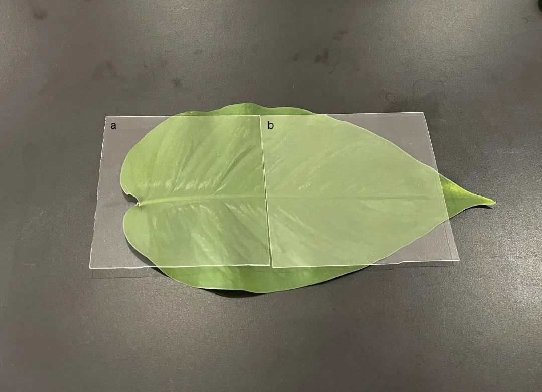 海控科技创新工艺实现“高效AR玻璃”性能突破